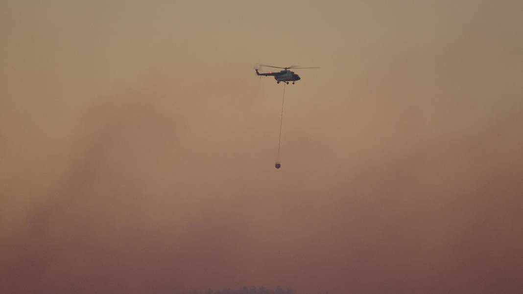 Çanakkale'deki Tarihi Alan'ın güney hattı ziyarete açıldı! Orman yangınında kapatılmıştı - Resim: 30